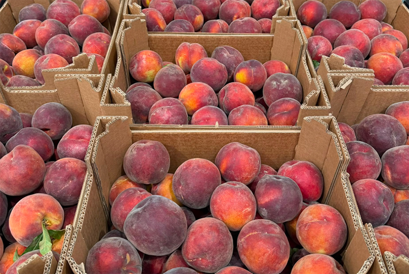 Pesche a pasta gialla - Sicilia - 2,40 euro al chilogrammo